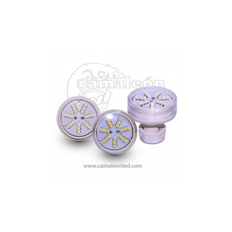 Cabochòn L 24V BLU LT743 ABM SRLS® CAMALEON LED 3,62 €