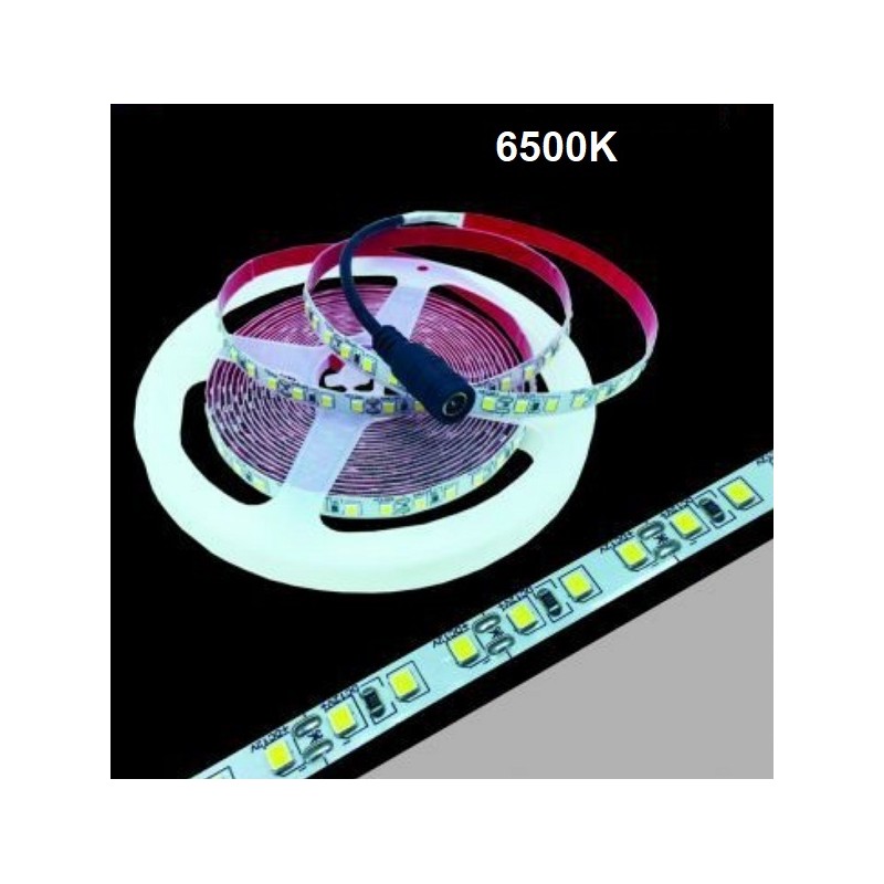 Striscia LED 2835 10W/Mt 6500K IP20 120 led/mt ( confezione da 5 metri ) 2835-12V-L120F 2835-L120F LT4159  USO INTERNO IP20 9...